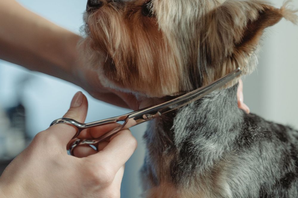 A neat face trim